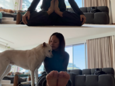 이효리, 평창동 자택서 요가 삼매경…이상순은 “땅콩 버린다?” [SD셀픽]