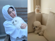 송혜교, 6살 반려견 루비와 평온한 하루…“편안해?” [SD셀픽]