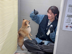 임수향, 팬들과 유기견 보호 봉사…“저에게도 위로” 선한 영향력