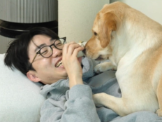 5억뷰 이강태, 내연견 이다다와 밀회?…아내 질투 고백 (전지적 참견 시점)