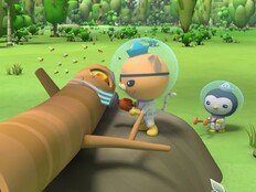 ‘옥토넛 : 육지생물 구조작전’, 오늘(12일) 개봉…관전 포인트 셋