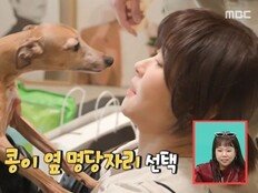 최다니엘·최강희, 커플티 의혹…개도 안 짖었다(전참시)