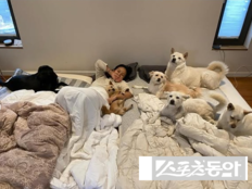 이효리 집 사진 두고 갑론을박…“지저분” vs “진짜 사랑”