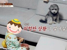 사탄견·27개월 아들 한 침대 ‘경악’…김성주 “나는 안 보겠다” 탄식 (개늑시2)