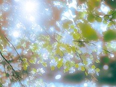 ‘Spring, You, ? 커밍순’ 거미, 올 봄 새로운 프로젝트로 돌아온다