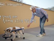 월 400억 버렸다…강아지 택한 ‘백만장자’의 선택