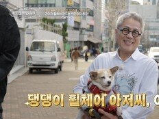  “월 400억 버리고 강아지 택했다”…이철, 유기견 호스피스 꿈 고백