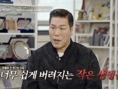 서장훈 분노 “자격 없이 키우지 마라”…유기견 현실 직격 (백만장자)
