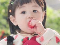 ‘딸기왕자’ 하루, 따자마자 입으로…“배가 딸기로 가득” (슈돌)