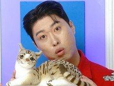 송하빈, ‘161만 스타 반려묘’ 춘봉·첨지·칠복 공개…입양 사연 뭉클 (라스)