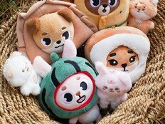 콘서트 왔다가 ‘만두 데니멀즈’ 득템!