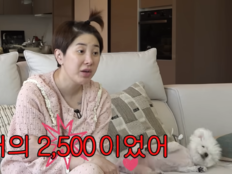 서인영, 소비 습관 바꿨다더니…2500만 원 소파→시술 고백까지
