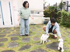 기안84, 제주 본가 行…‘알콩이&달콩이’ 근황 공개 (나혼산)