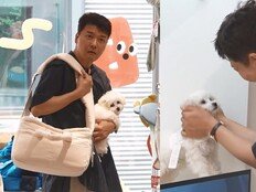 전현무, 반려견에 지갑 열렸다…“주세요” 연발한 무버지 (나혼산)