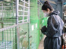 서현, 생일도 남달랐다…팬들과 유기견 위해 간식 5000개 기부