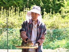 임영웅, 톱 들고 목공 도전…산골남 변신 완료 (산골총각 영웅)