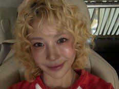보아, 40세 안 믿기는 근황…금발 뽀글펌에 팬들 술렁 [SD셀픽]