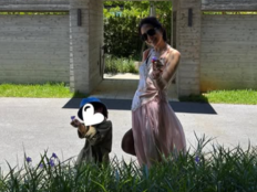 현빈♥손예진 아들 향한 감탄…“AI 합성인 줄 알았다”
