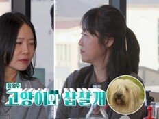 8기 영수, 인기남의 여유…“고양이·삽살개처럼 매력 포인트 달라” (나솔사계)