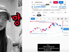 미자, 하이닉스 샀다더니 하루 만에 ‘14% 급락’