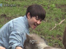 왕이 된 도경수, 비주얼은 이게 맞는 듯 (콩콩팜팜)