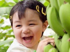 심형탁 子 하루, 바나나 5개 순삭…17개월 먹방 요정 (슈돌)