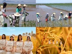 쌀 포대 든 아일릿, 도시 움직인 리센느…공공 홍보 공식이 바뀌었다