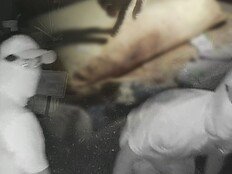 장미 터널 아래 킬러…통영 60대 여성 살인 사건 (그알)