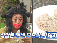 돼지 뇌를 먹네…시청자도 벌칙? 비주얼 으악 (독박투어)