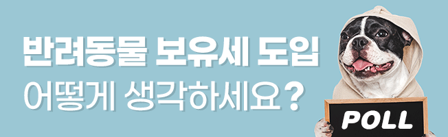 반려동물 POLL|반려동물 보유세 도입