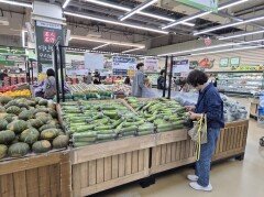 농협경제지주, 과채류 가격 하락에 소비 촉진…3억5000만 원 할인 지원