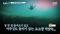공기통 없이 깊고 깊은 바닷속으로.. 오로지 나 하나만 믿는 프리 다이빙! [강한 자만이 살아남는다 19] | tvN SHOW 220124 방송