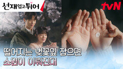 (심쿵 MAX) 변우석X김혜윤, 행복한 둘만의 벚꽃 데이트  | tvN 240513 방송