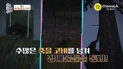 [예고] 7개의 전기 철조망을 넘어!? 강원도 인근 군사분계선을 걸어서 귀순한 북한군!