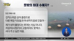 [돌직구 강력반]‘상어 등장’에 수만 명 몰려…뜻밖의 최대 수혜자?