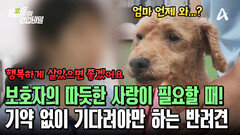 보호자의 손길을 그리워하는 반려견! 묵묵히 보호자를 기다릴 수밖에 없는 상황?