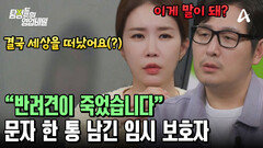 ＂결국 세상을 떠났어요＂ 반려견 맡긴 임시 보호자에게 온 심각한 문자!