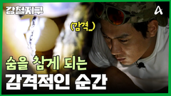 ＂이런 걸 평생 볼 수 있을까요?＂ 산란에 집중한 어미 거북