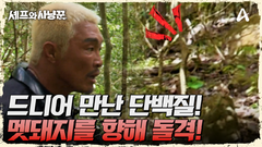 멀리서 들려오는 멧돼지 소리에 일동 흥분! 멧돼지 몰이 시작!