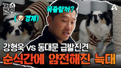 강형욱 vs 동대문 급발진견, 보호자 없이 둘이 남은 상황?!