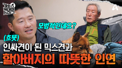 인싸犬이 된 떠돌이 강아지와 할아버지의 따뜻한 인연