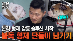 불독 형제 단둘만 남겨놨다? 본격적인 형제 갈등 솔루션 시작!