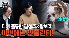 다시 출동한 김성주&황보라, 이번에는 안물릴 수 있을까?