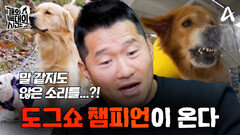 [6회 예고] 개늑시 사상 첫 쇼독 등장!