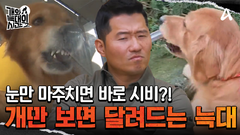 산책하다가 갑자기 눈빛이 바뀌었다? 개만 보면 달려드는 리트리버