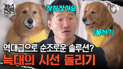 본격 솔루션 타임! 늑대 3호가 하나에 꽂히는 걸 막아라!