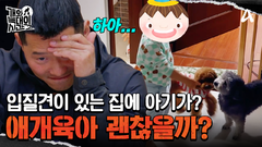 ※보는 사람 초긴장※ 27개월 아들 등장! 입질견과 아기 괜찮은 걸까?