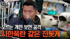 모르는 개만 보면 입질을? 예측 불가 시한폭탄 \