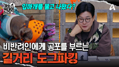 반려견을 잠시 묶어 놓고 대기시킨다?! 저기 어떻게 지나가죠?