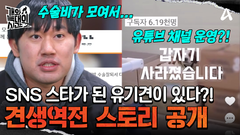 공장에 버려진 유기견이 SNS 스타가 되었다? 기적 같은 견생역전 스토리